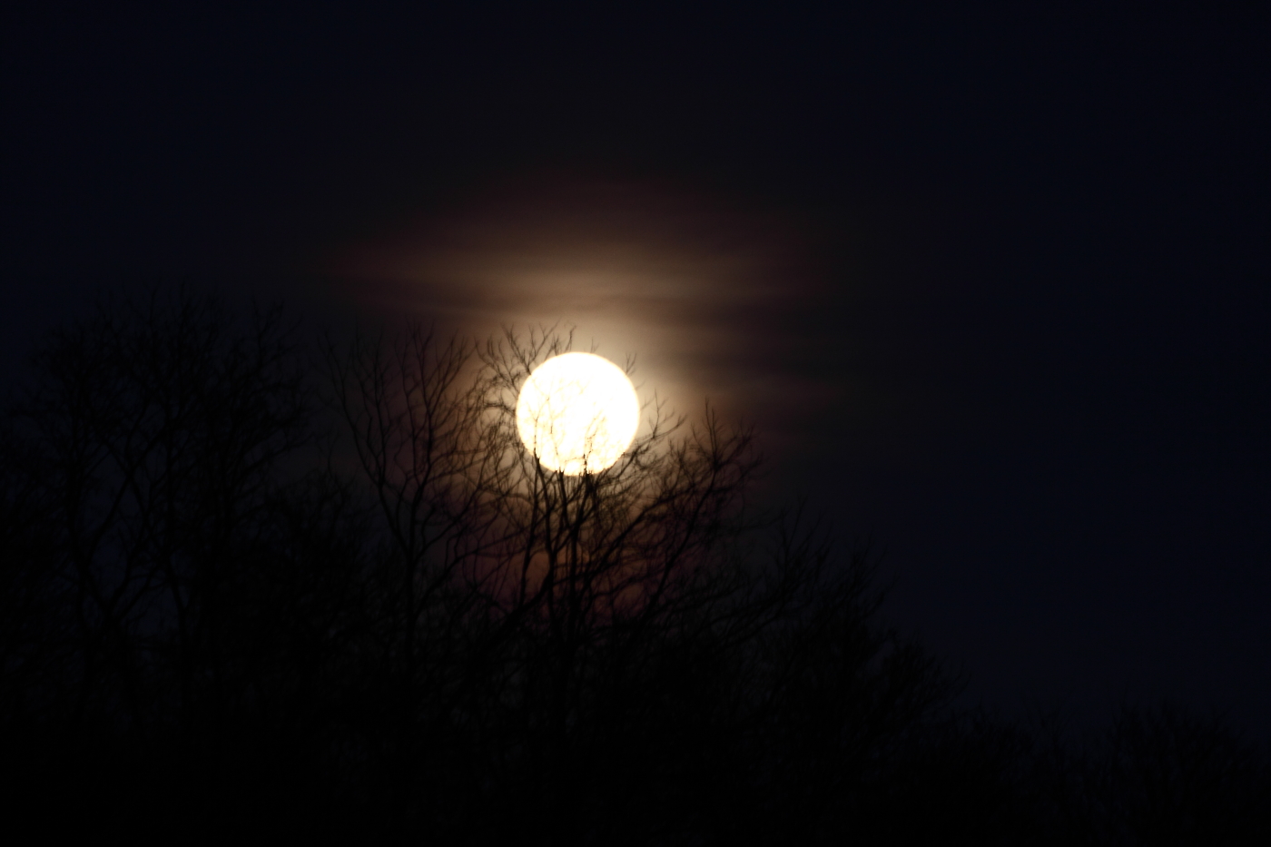 2012 03 07 8459